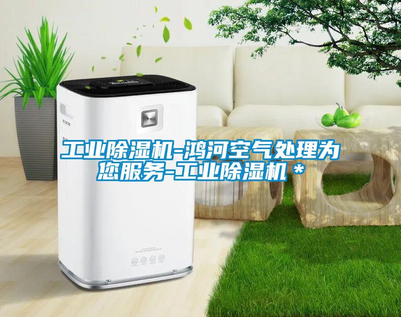 工业除湿机-鸿河空气处理为您服务-工业除湿机＊