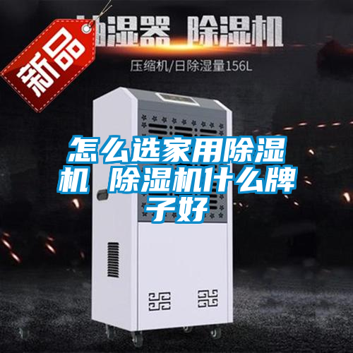 怎么选家用除湿机 除湿机什么牌子好