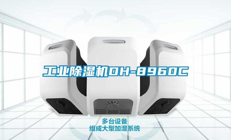 工业除湿机DH-8960C