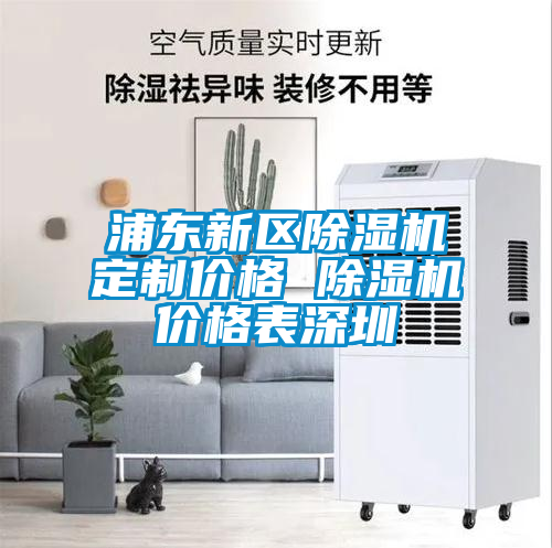 浦东新区除湿机定制价格 除湿机价格表深圳