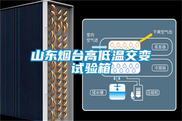 山东烟台高低温交变试验箱