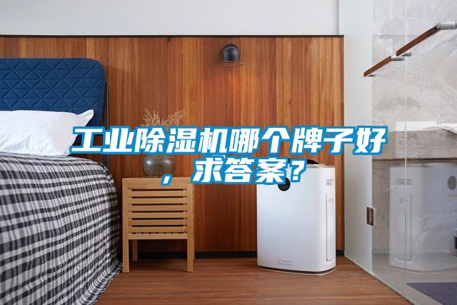 工业除湿机哪个牌子好，求答案？