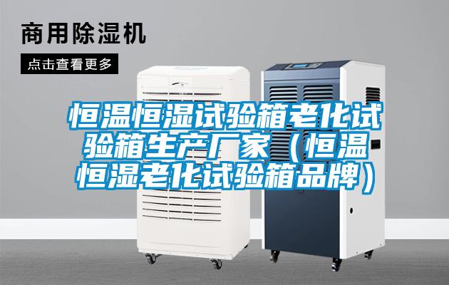恒温恒湿试验箱老化试验箱生产厂家（恒温恒湿老化试验箱品牌）