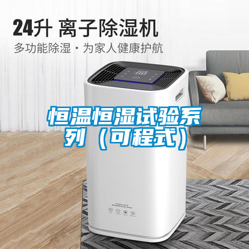 恒温恒湿试验系列（可程式）