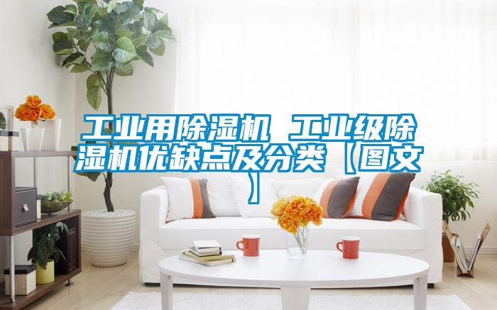 工业用除湿机 工业级除湿机优缺点及分类【图文】
