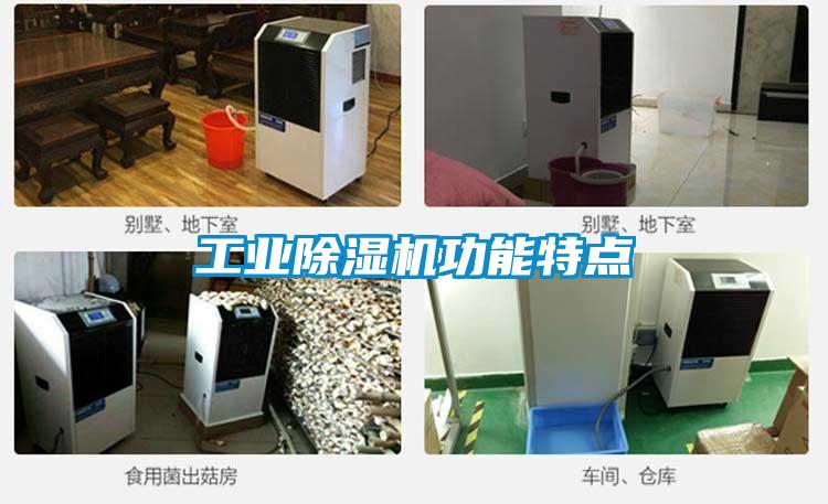 工业除湿机功能特点