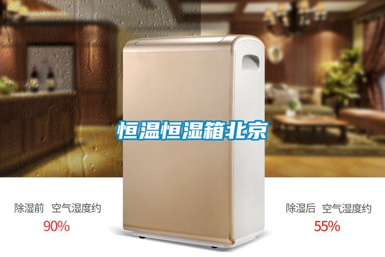 恒温恒湿箱北京