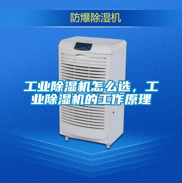 工业除湿机怎么选，工业除湿机的工作原理