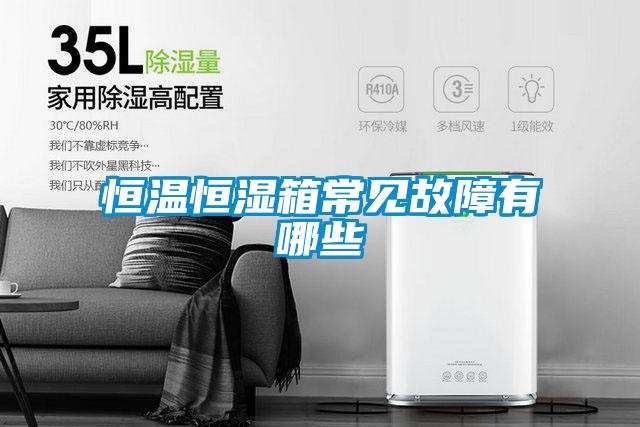 恒温恒湿箱常见故障有哪些
