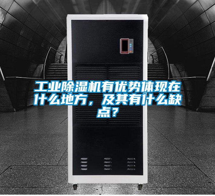 工业除湿机有优势体现在什么地方，及其有什么缺点？