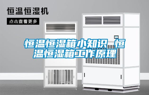 恒温恒湿箱小知识 恒温恒湿箱工作原理