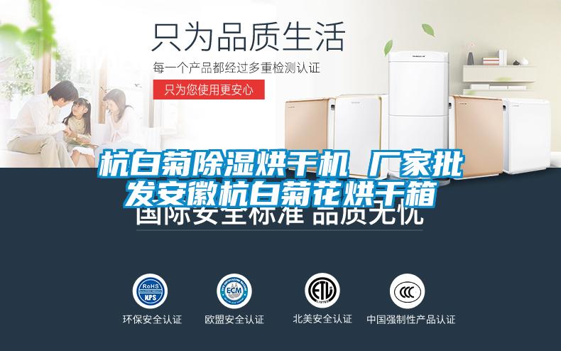 杭白菊除湿烘干机 厂家批发安徽杭白菊花烘干箱