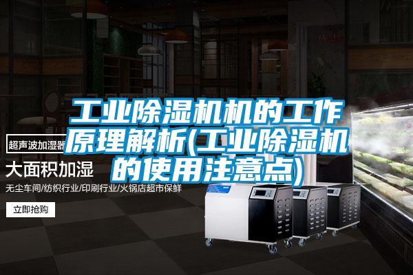 工业除湿机机的工作原理解析(工业除湿机的使用注意点)