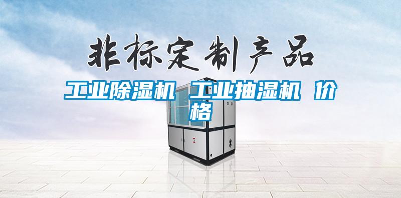 工业除湿机 工业抽湿机 价格