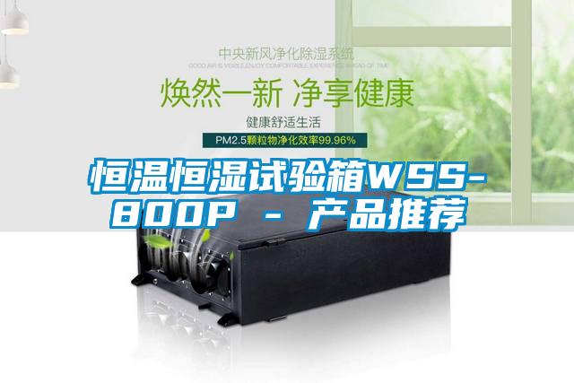 恒温恒湿试验箱WSS-800P - 产品推荐