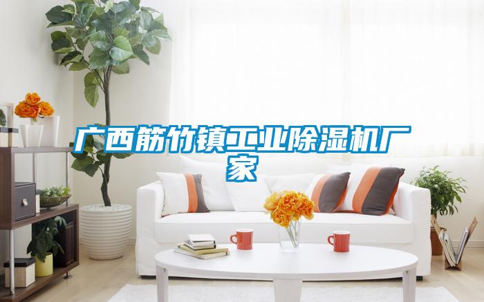 广西筋竹镇工业除湿机厂家