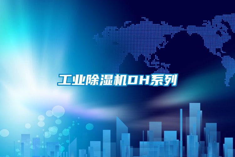 工业除湿机DH系列
