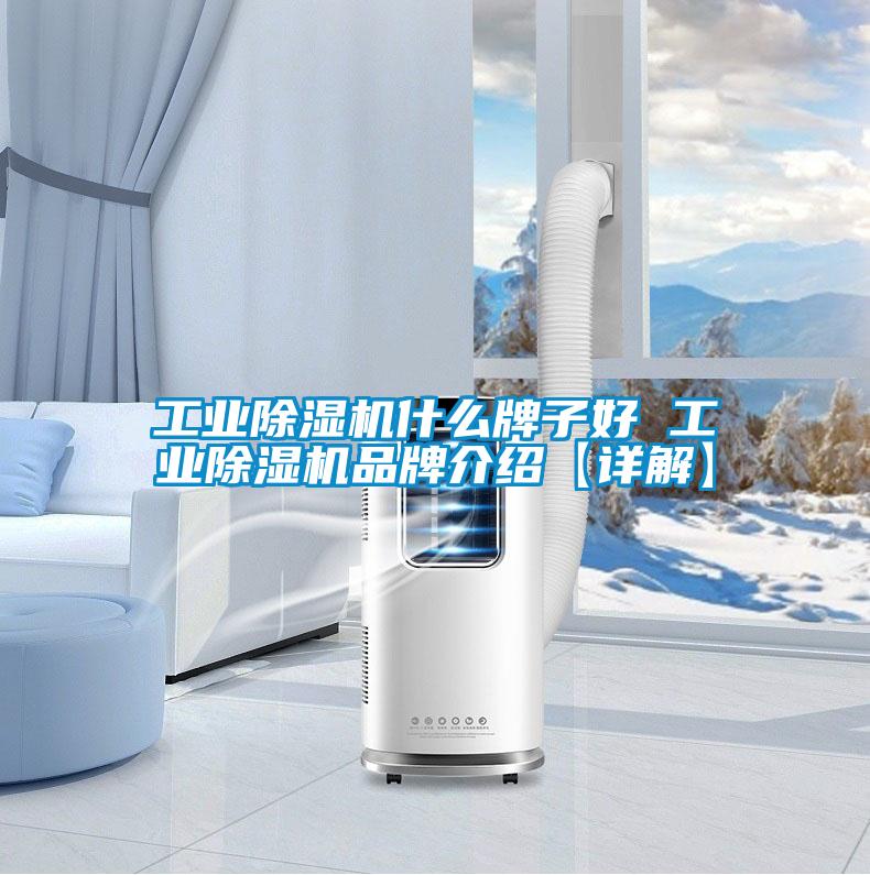 工业除湿机什么牌子好 工业除湿机品牌介绍【详解】