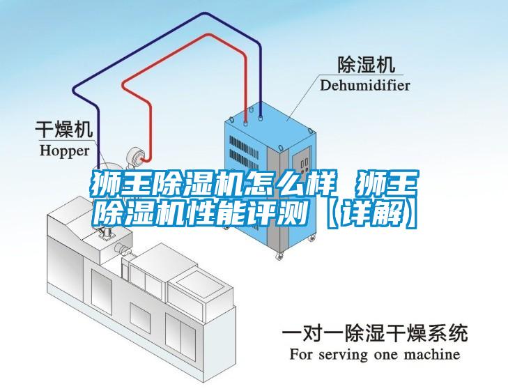 狮王除湿机怎么样 狮王除湿机性能评测【详解】