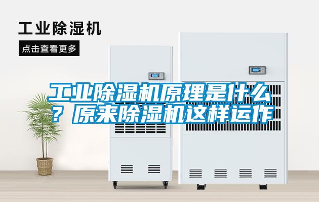 工业除湿机原理是什么？原来除湿机这样运作