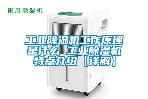 工业除湿机工作原理是什么 工业除湿机特点介绍【详解】