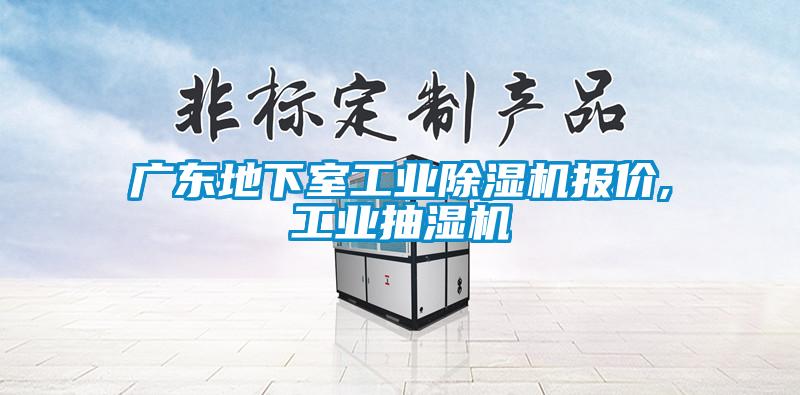 广东地下室工业除湿机报价,工业抽湿机
