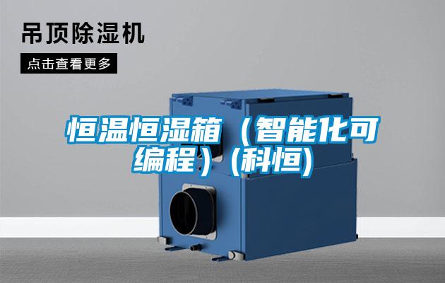 恒温恒湿箱（智能化可编程）(科恒)