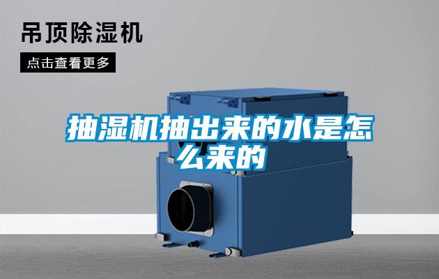 抽湿机抽出来的水是怎么来的