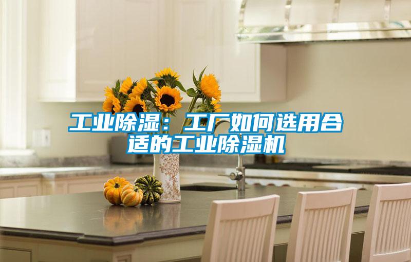 工业除湿：工厂如何选用合适的工业除湿机