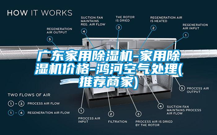 广东家用除湿机-家用除湿机价格-鸿河空气处理(推荐商家)