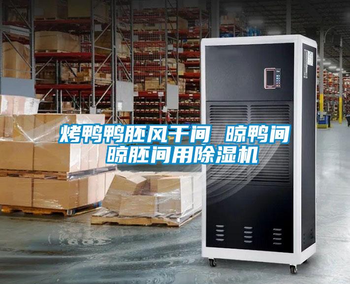 烤鸭鸭胚风干间 晾鸭间 晾胚间用除湿机