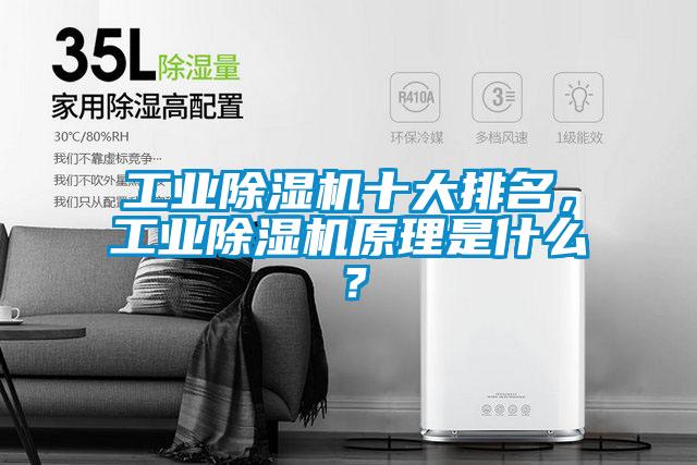 工业除湿机十大排名，工业除湿机原理是什么？