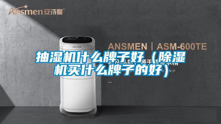 抽湿机什么牌子好（除湿机买什么牌子的好）