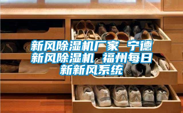 新风除湿机厂家 宁德新风除湿机 福州每日新新风系统