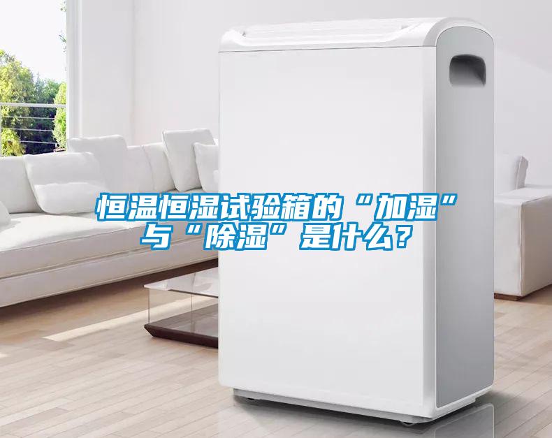 恒温恒湿试验箱的“加湿”与“除湿”是什么？