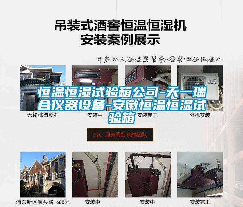 恒温恒湿试验箱公司-天一瑞合仪器设备-安徽恒温恒湿试验箱