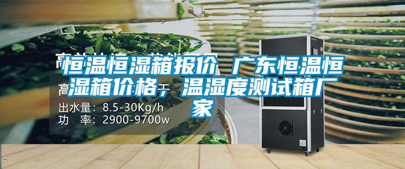 恒温恒湿箱报价 广东恒温恒湿箱价格，温湿度测试箱厂家