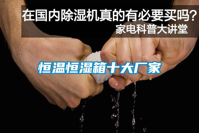恒温恒湿箱十大厂家