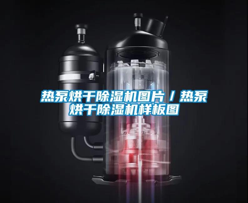 热泵烘干除湿机图片／热泵烘干除湿机样板图