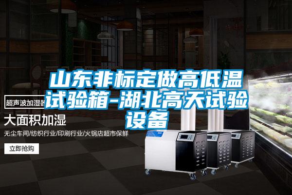山东非标定做高低温试验箱-湖北高天试验设备