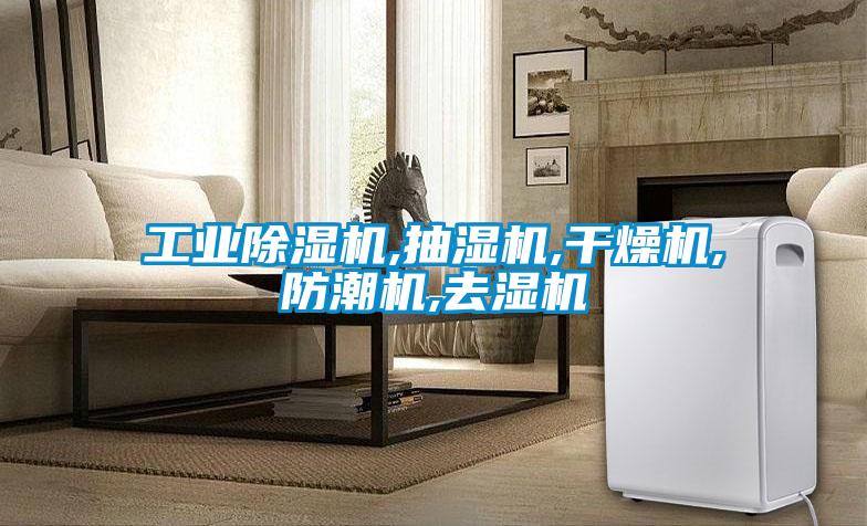 工业除湿机,抽湿机,干燥机,防潮机,去湿机