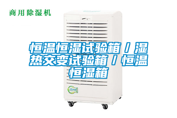 恒温恒湿试验箱／湿热交变试验箱／恒温恒湿箱
