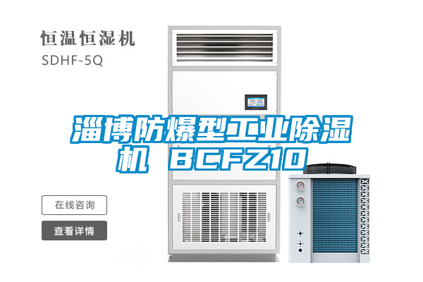 淄博防爆型工业除湿机 BCFZ10