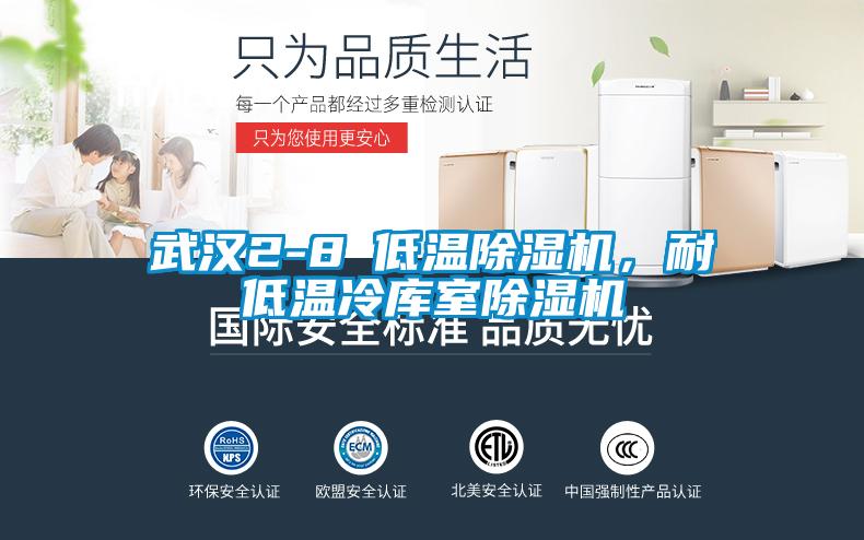 武汉2-8℃低温除湿机，耐低温冷库室除湿机