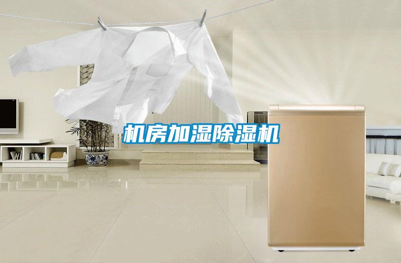 机房加湿除湿机