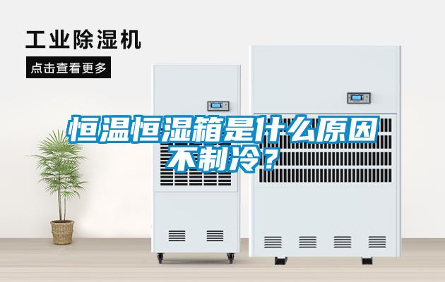 恒温恒湿箱是什么原因不制冷？