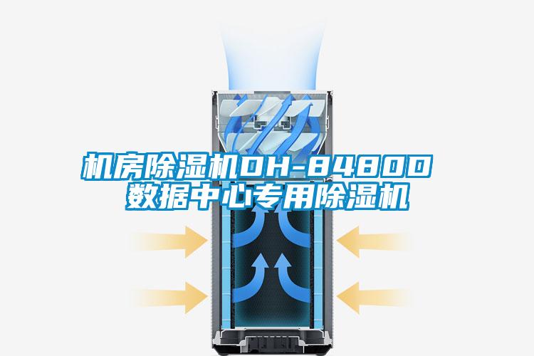 机房除湿机DH-8480D 数据中心专用除湿机
