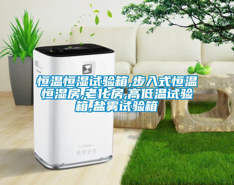 恒温恒湿试验箱,步入式恒温恒湿房,老化房,高低温试验箱,盐雾试验箱