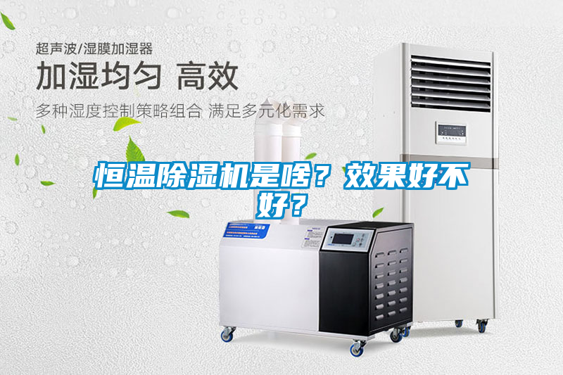 恒温除湿机是啥？效果好不好？