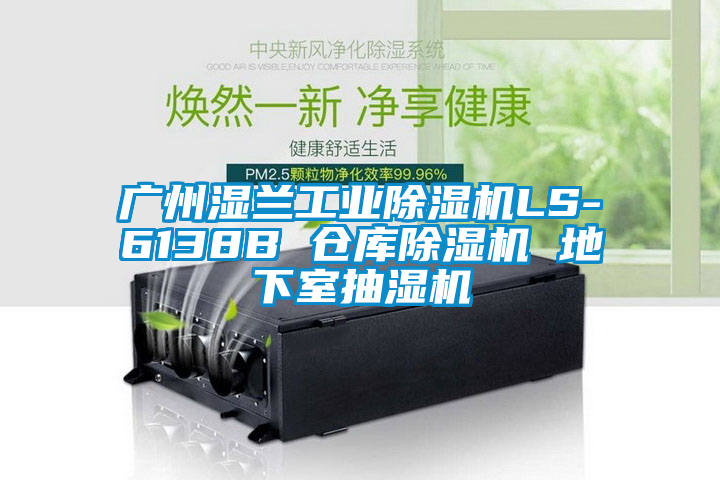 广州湿兰工业除湿机LS-6138B 仓库除湿机 地下室抽湿机